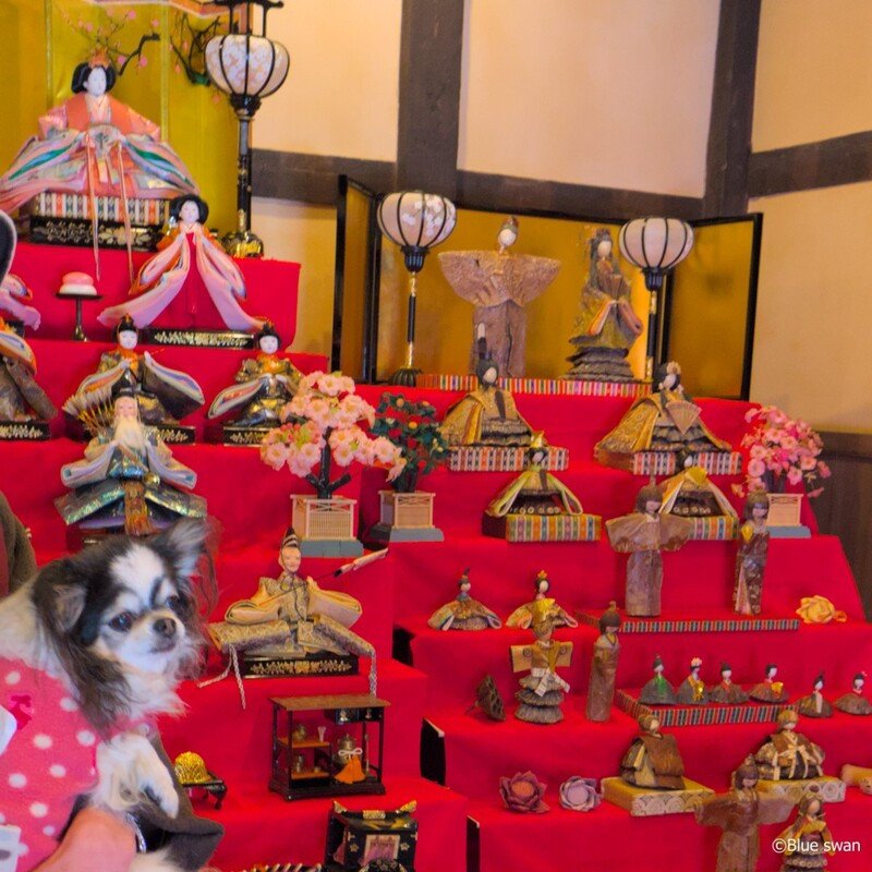 🏛️ 길모퉁이 창고 다이토쿠(마치카도쿠라 다이토쿠) 이미지 5